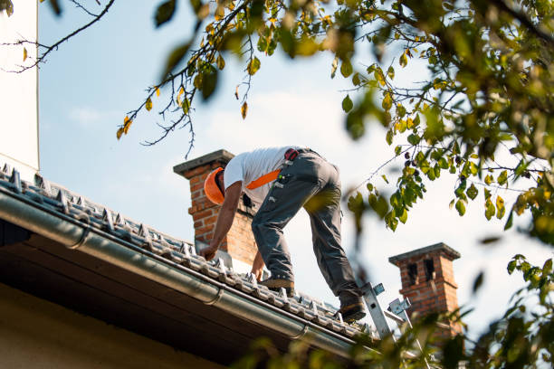 Best Rubber Roofing (EPDM, TPO)  in Wtmore Village, HI