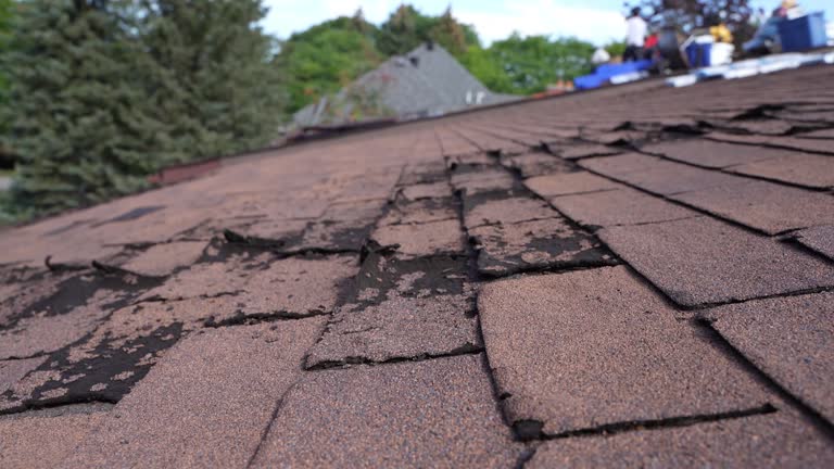 Best Roof Installation  in Wtmore Village, HI