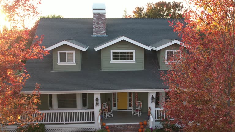 Best Sheet Metal Roofing  in Wtmore Village, HI